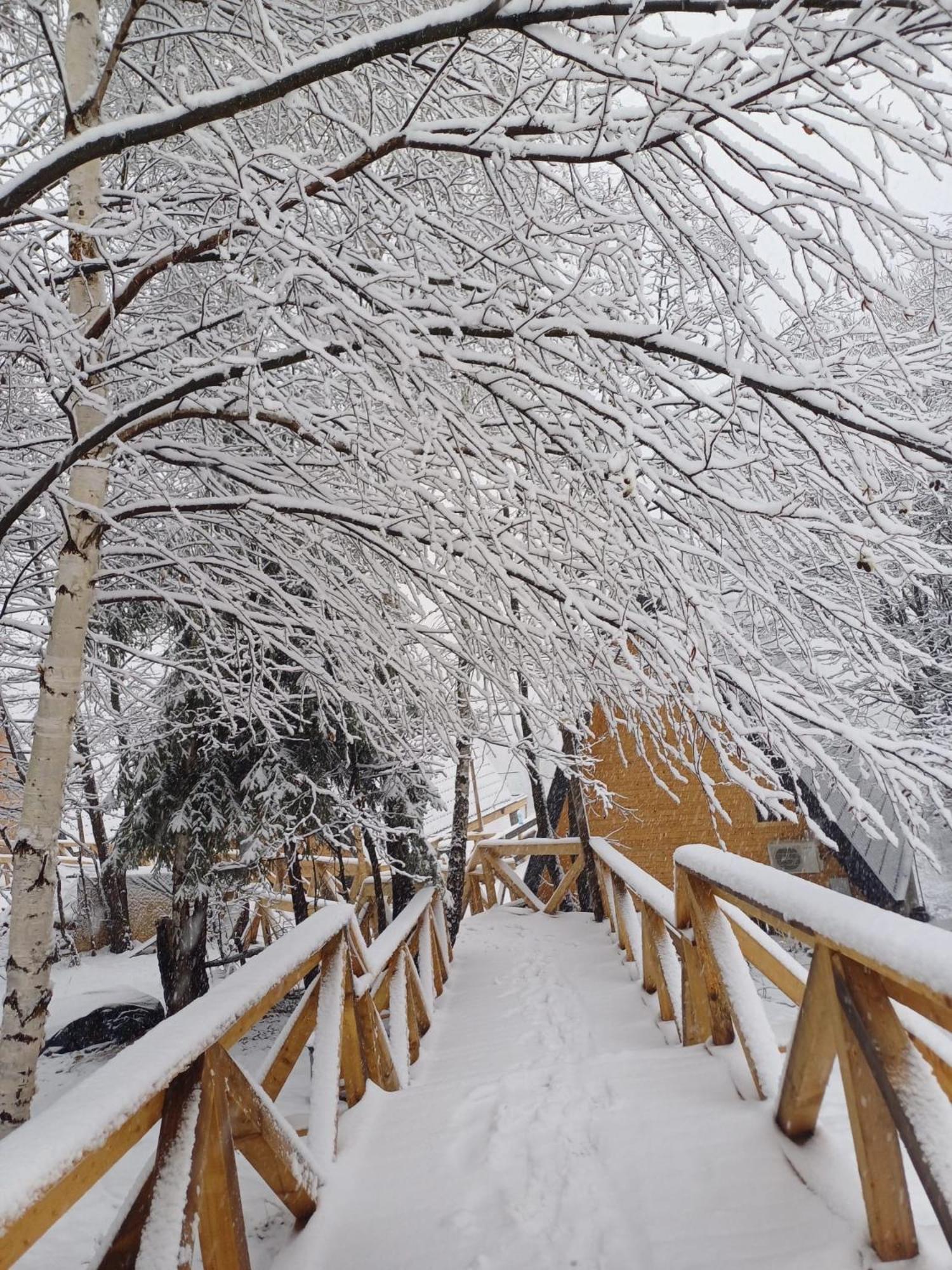 365 Brașov