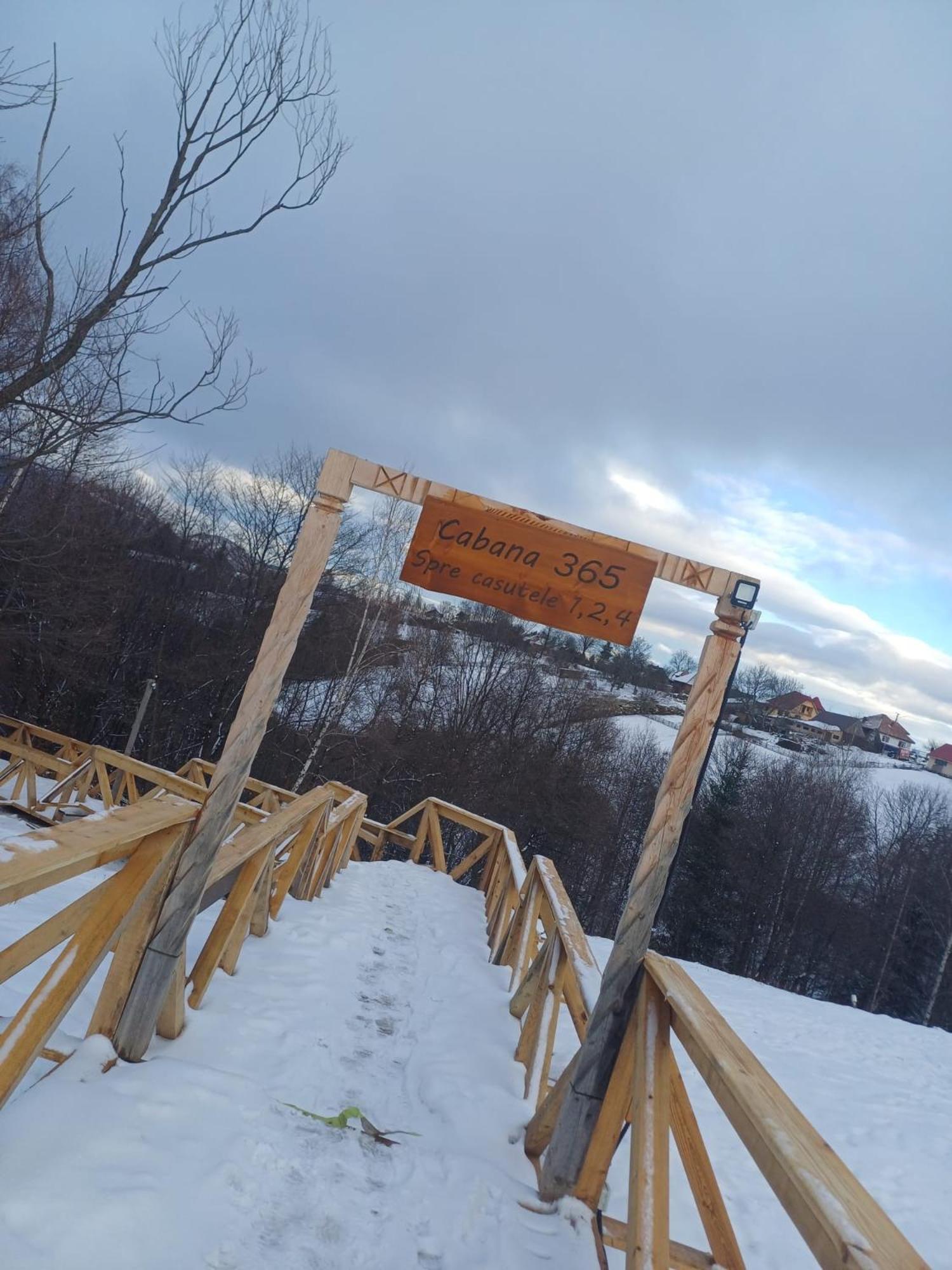 365 Braşov