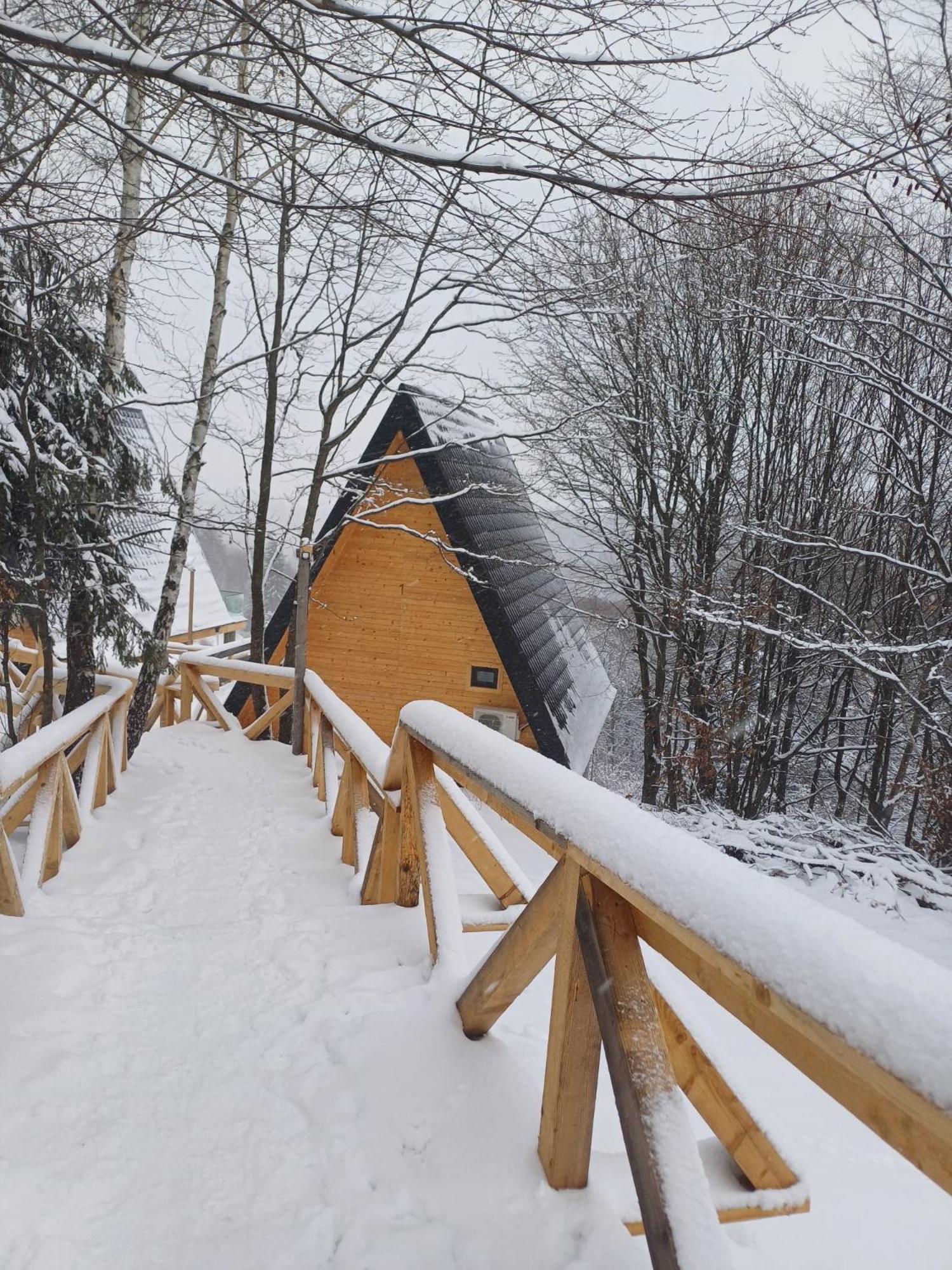 Campingplatz 365 Brașov